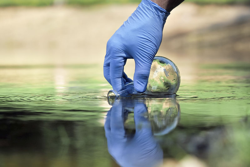 bacterias del agua