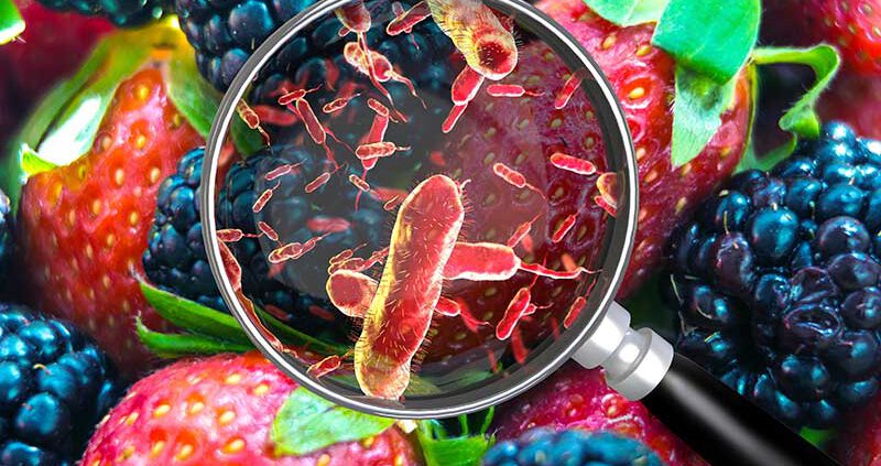 como-se-reproducen-las-bacterias