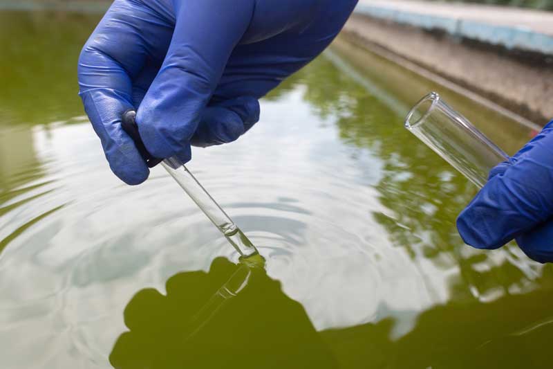 colifagos somaticos calidad del agua